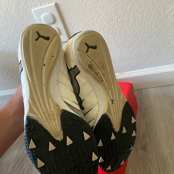 Puma Feline - Picture 2 of 4